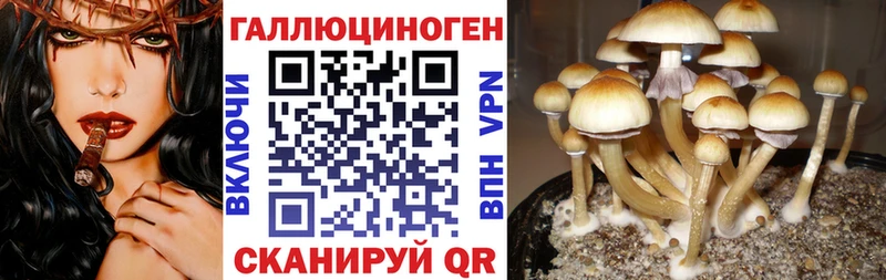 Псилоцибиновые грибы Magic Shrooms  Жердевка 